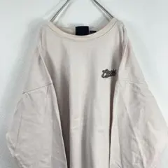 USA購入 diport usa 厚手 ロンT 刺繍