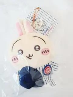 Item thumbnail for item 43becd1e-225c-4c75-9b31-e171d8ade7f8