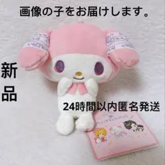 真天地開闢集団　ジグザグ×サンリオキャラクターズ マイメロディ　ぬいぐるみ