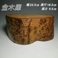 Item thumbnail for item 4a55f702-b307-4b10-8c51-29673eb2f879