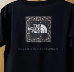 THE NORTH FACE バンダナスクエアロゴ Tシャツ バンダナ柄 黒 Lのサムネイル