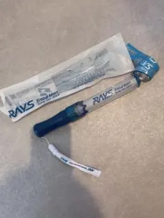 RAYS ペンライト 2024年ドームツアー SnowMan 銀テープ