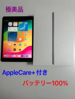 極美品 iPad　(第9世代)　Wi-Fiモデル　64GB　スペースグレイ