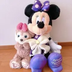 ミニーマウス＆シェリーメイ ぬいぐるみセット 約30cm