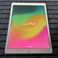 2026年最新】タブレット カラー：シルバー iPad本体の人気アイテム