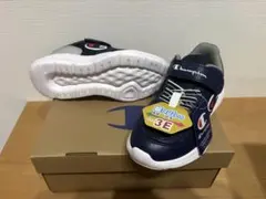 Item thumbnail for item 1f779724-29c4-4f7f-bbeb-7bfd4bdc7b2d