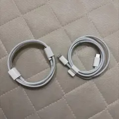 iPhone 充電器 純正 タイプCライトニングケーブル Apple正規品