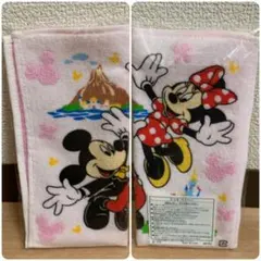 東京ディズニーリゾート タオル 非売品
