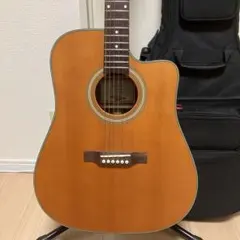 タカミネ Takamine オール単板アコギ TSS-10 ☆純正ハードケース付