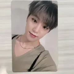 SEVENTEEN an ode ディノ トレカ