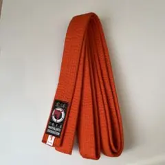 Item thumbnail for item 0b7e0c5a-48dd-426c-a104-2824d236f0d5