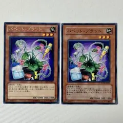 203 遊戯王 パペット・プラント 2枚