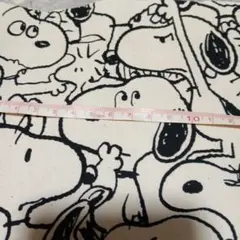 Item thumbnail for item 54a6128c-b3ae-452d-805d-0d497978c44d