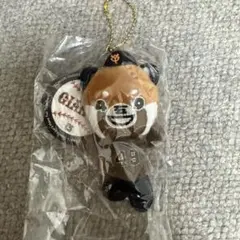 石川慎吾　レッサーシンゴキーホルダー