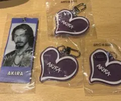 EXILE AKIRA めじるしタグ ラメネームキーホルダー ガチャ カプセル