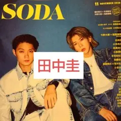 SODA 田中圭 切り抜き