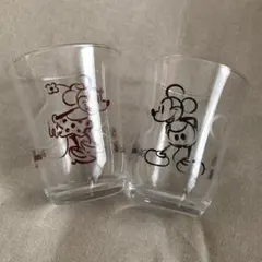 東京ディズニーリゾート ペア グラス