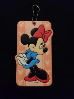 ☆ミニーマウスのカード入れ☆