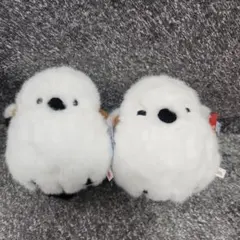 Item thumbnail for item ff465fdf-1c7c-460a-a564-b7c568d8ec55