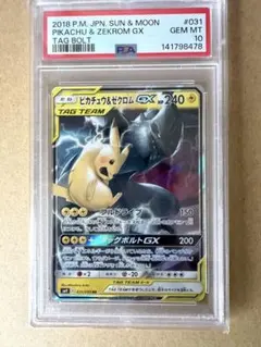 2026年最新】ピカチュウ&ゼクロム psa10の人気アイテム - メルカリ