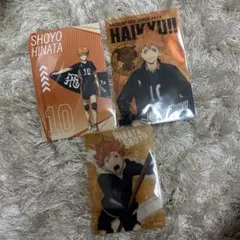 ハイキュープラザ 〜挑戦者たち〜 特典ポストカード　日向翔陽