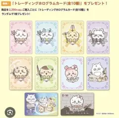 超まじかるちいかわ　ホログラムカード　ちいかわ　うさぎ　モモンガ　コンプリート