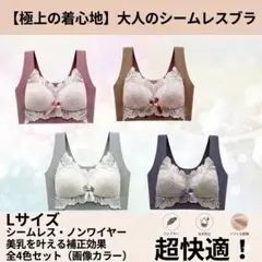 シームレスブラ　ノンワイヤー　ナイトブラ　L 美胸　楽ブラ　伸縮性　着痩せ