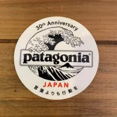 【希少】patagonia 30周年記念 ステッカー パタゴニア