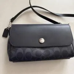 Item thumbnail for item d595d6c2-ce4b-41ff-80c7-2d48fcf22488