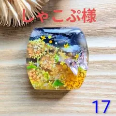 こぴーち様　秋空の下香る金木犀　17　横丸【部品6種】