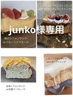 junko様専用　おやつ便　シフォンケーキサンド　チーズケーキ　テリーヌ