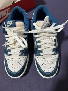 NIKE DUNK LOW RETRO SE 7.5