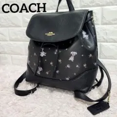 ✨未使用✨COACH×Disney 白雪姫 ショルダーバッグ スプーキーアイズ 