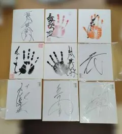 Item thumbnail for item 762df8df-592b-4ba9-822e-c7d2e704bc18