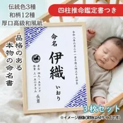 Item thumbnail for item faf44bfe-068e-4347-8e2f-bb50986aa4d0