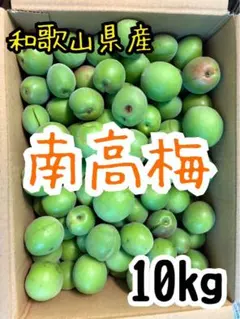 限定2セット!和歌山県　紀州産　南高梅‼️無農薬‼️10kgのサムネイル
