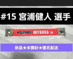 新品★未開封 ウルフドッグス名古屋 選手チャーム バンド #15 宮浦健人選手