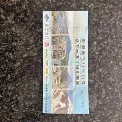 [즉시 배송] 후지큐 하이랜드 놀이공원 프리패스 스키장 1일 바우처 주주 혜택 티켓