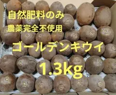 自然肥料のみ! 農薬完全不使用 !こだわりのゴールデンキウイ 1.3kgＤ