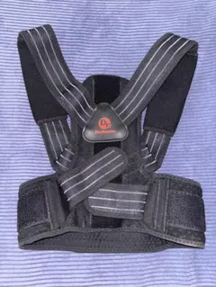 Item thumbnail for item 75e80077-b0e3-4a08-bb4a-908a106e308b