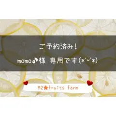 【ꕤ522】不知火デコ【訳あり品☆加工原料】10kg 熊本みかん