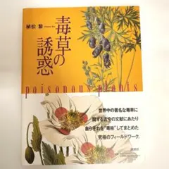 Item thumbnail for item 3d62ccf3-b5c6-490e-a032-861e3d5a9aae