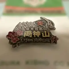 Item thumbnail for item 820ce09a-3a82-4f4c-b51b-68b5b2218f49