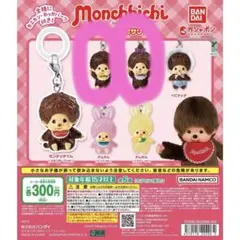 モンチッチ めじるしアクセサリー2