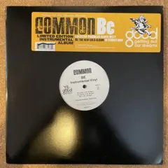 COMMON/ BE INSTRUMENTAL VINYL(LP)