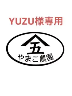 163 YUZU様専用