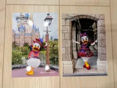 ディズニーハロウィン 2025 フレンジー　フォトファン　２枚セット