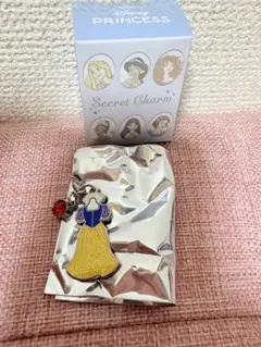 ディズニーストア DisneyPrincess SecretCharm 白雪姫