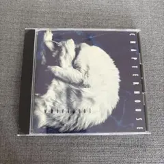 CHAPTERHOUSE / whirlpool CD