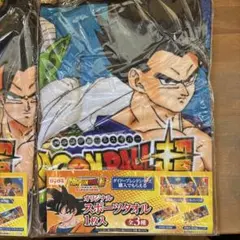 ドラゴンボール超 スポーツタオル 2종 세트